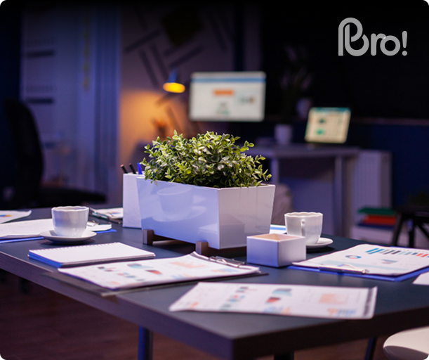 About Printsbro